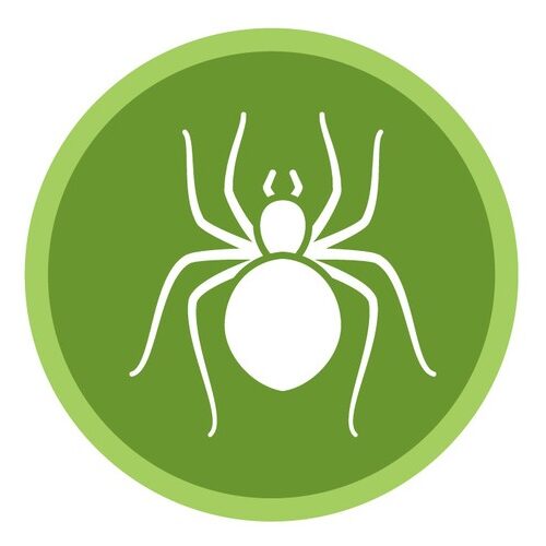 ASL Pest Control Sydney Spiders