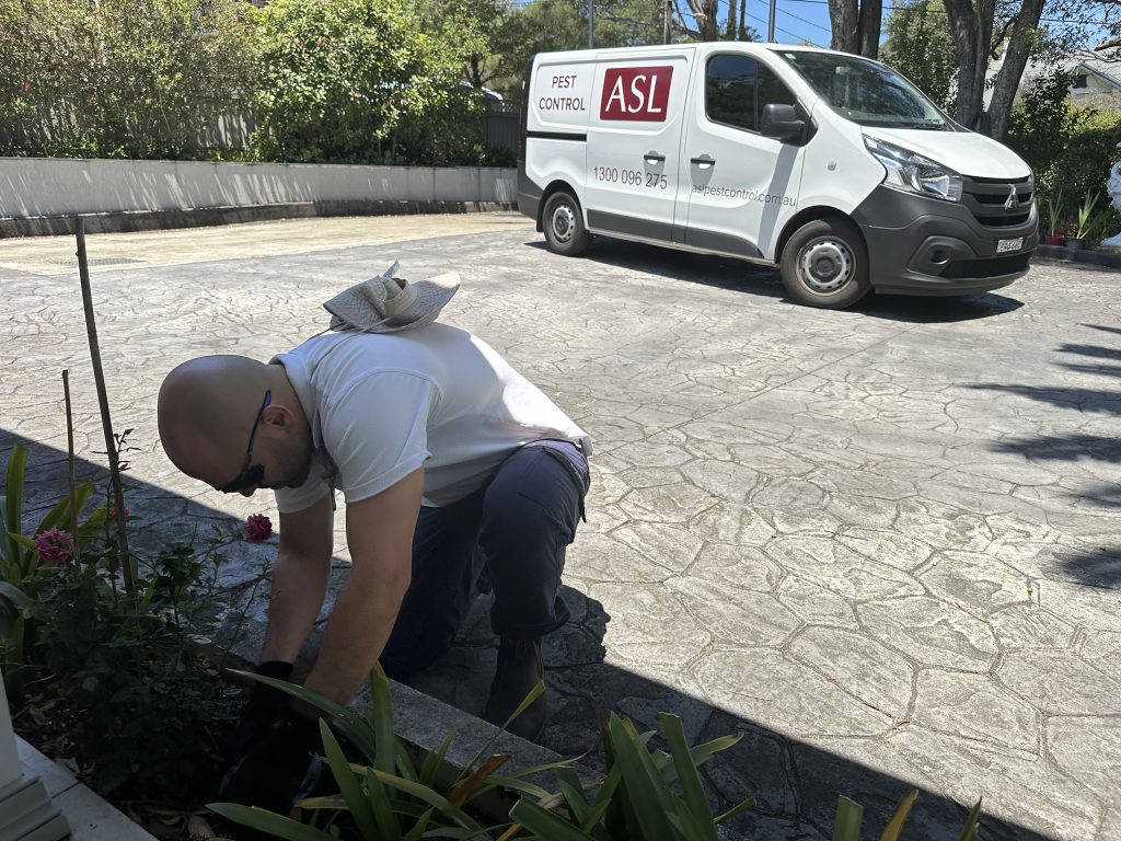 Pest Control Burwood