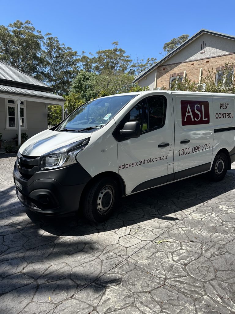 Pest Control Drummoyne