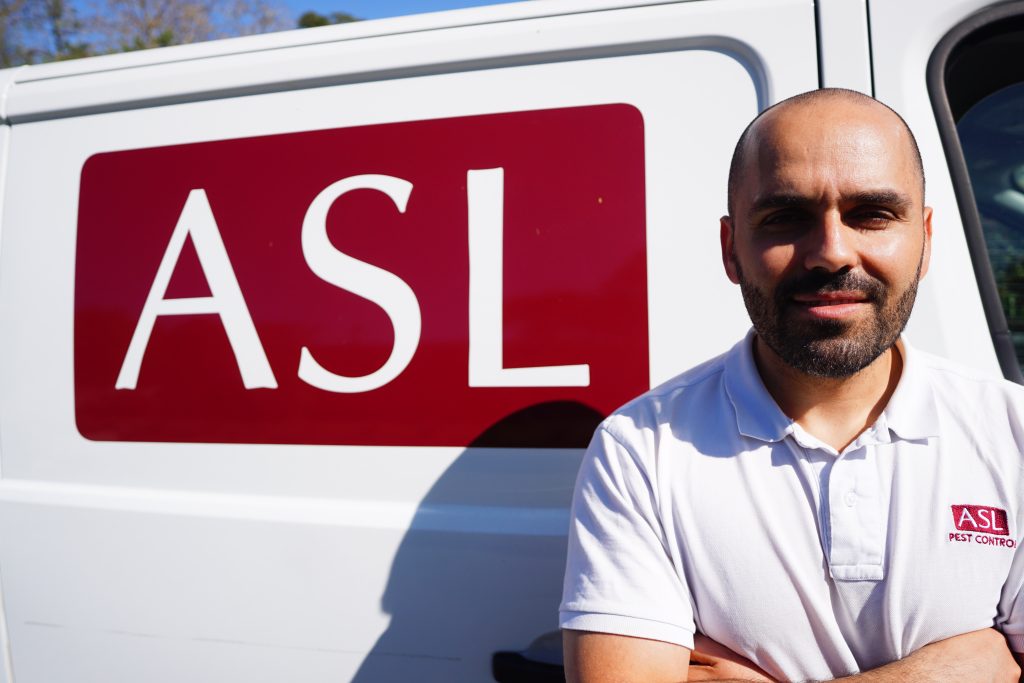 Pest Control Ashfield
