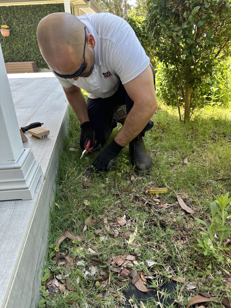 Pest Control Lewisham