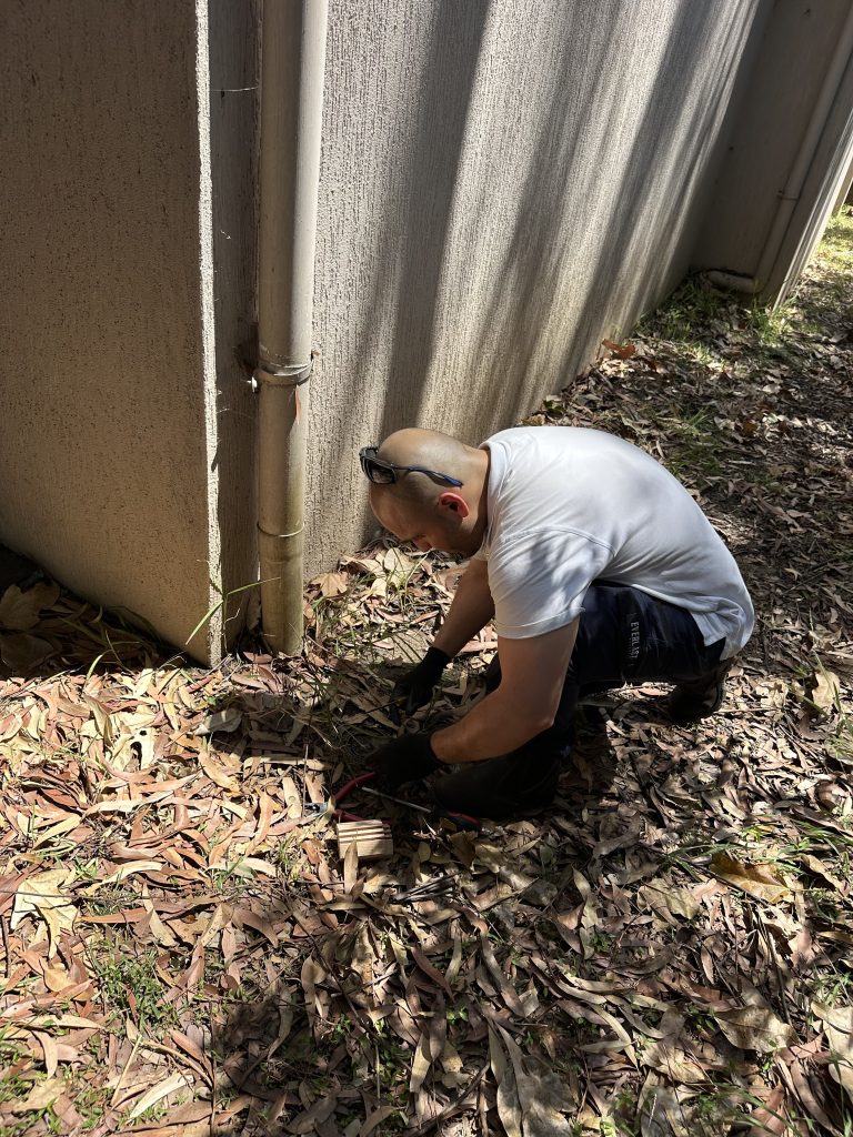 Pest Control Newtown