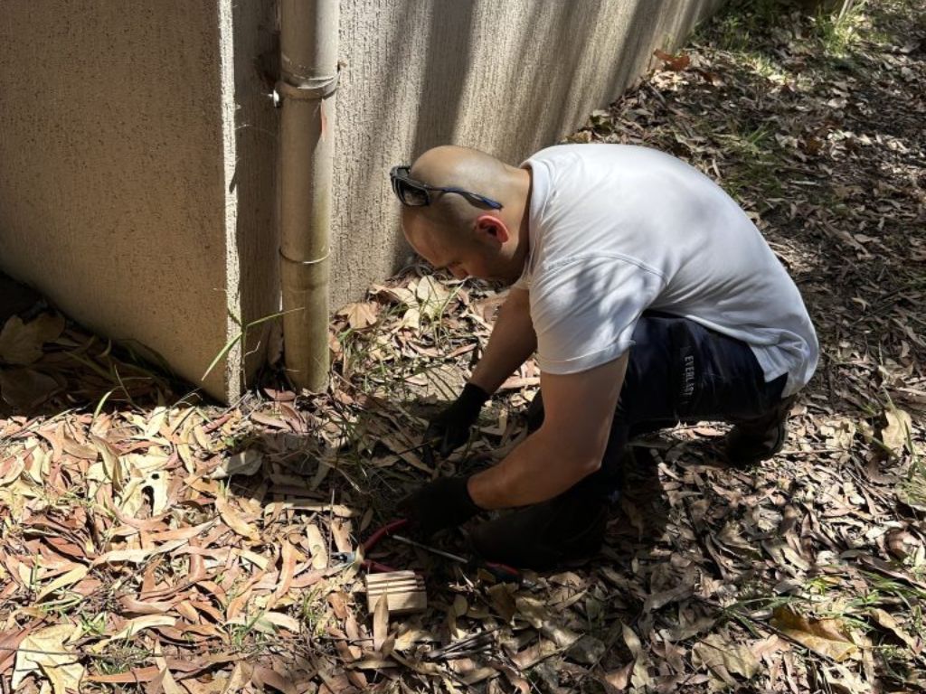 pest control newtown