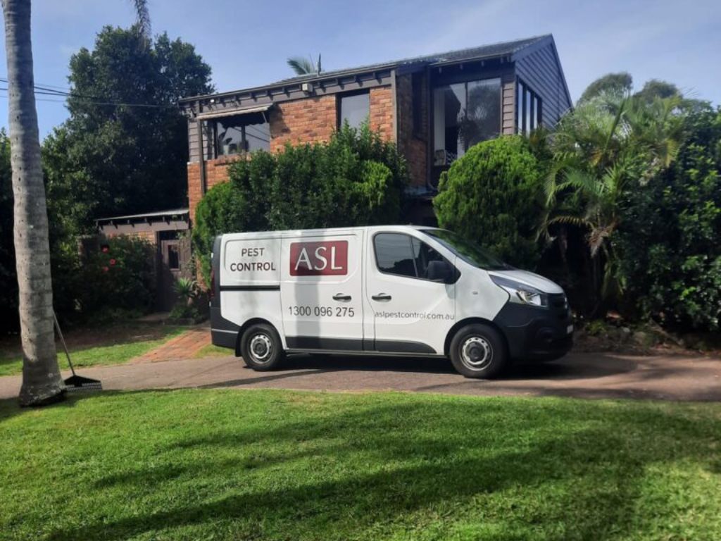 pest control forest lodge