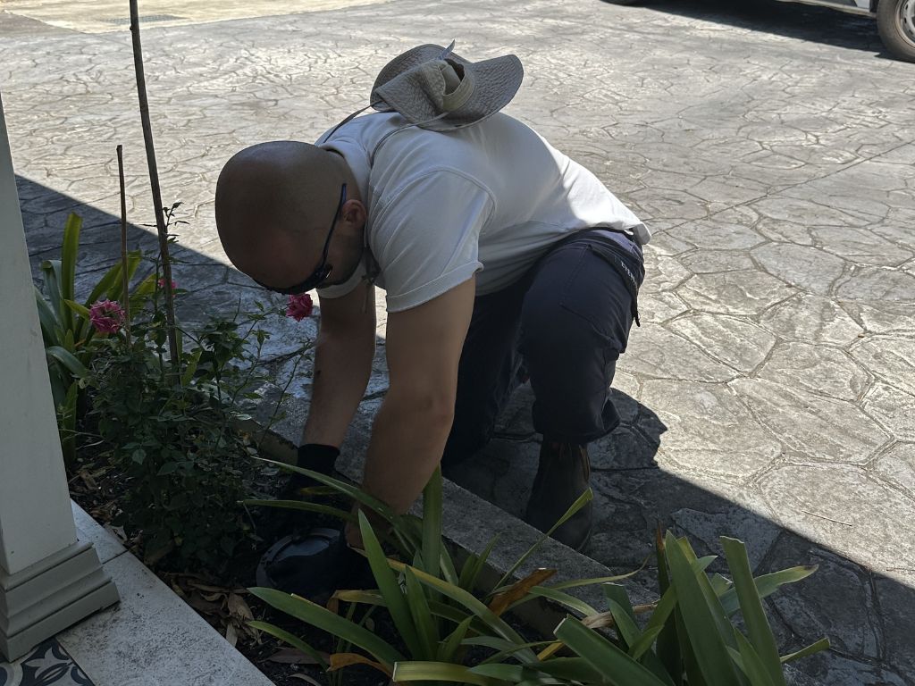 pest control mortlake