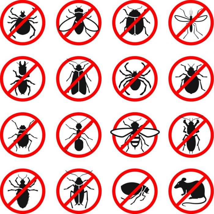 Pest Control Services